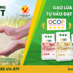Giới thiệu về công Ty Phân Bón Đức Thành Tây Ninh