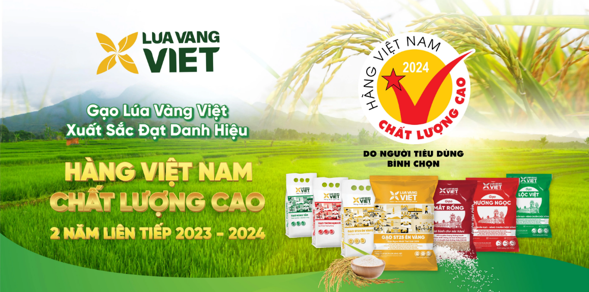 Gạo Lúa Vàng Việt