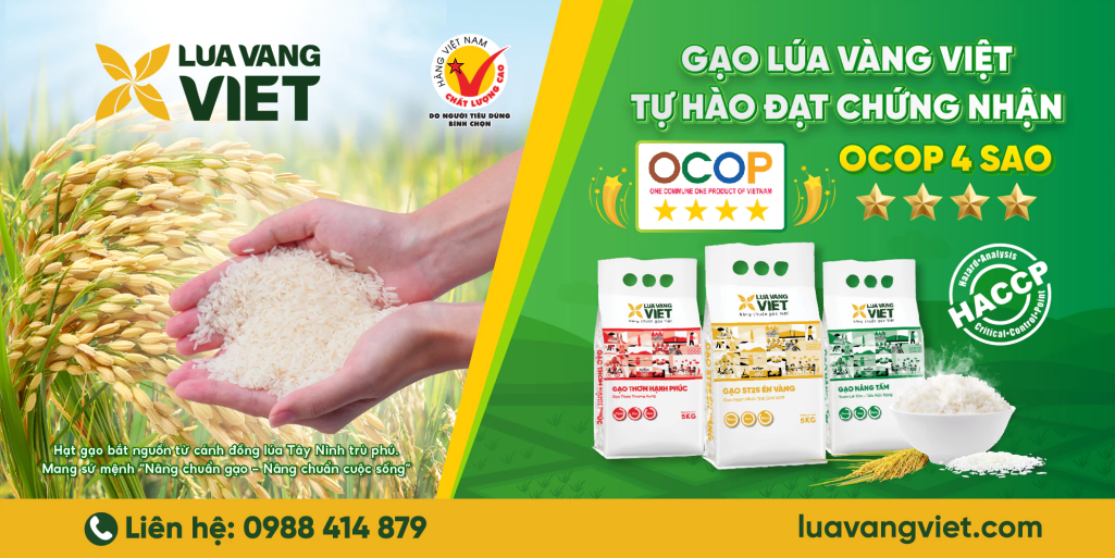 Gạo Lúa Vàng Việt
